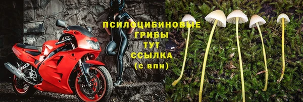 каннабис Богданович