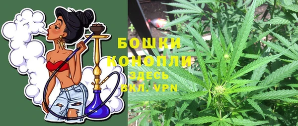 амф Рославль