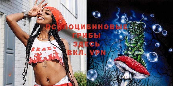 jwh Богородск
